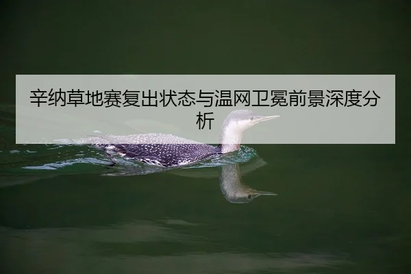辛纳草地赛复出状态与温网卫冕前景深度分析